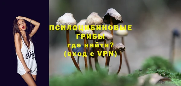 ПСИЛОЦИБИНОВЫЕ ГРИБЫ Куйбышев