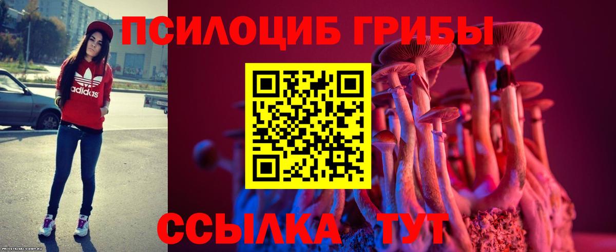 Галлюциногенные грибы Psilocybe  Вход с VPN  Новочебоксарск 