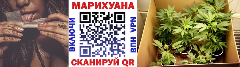 blacksprut рабочий сайт  Новочебоксарск  Бошки марихуана планчик 